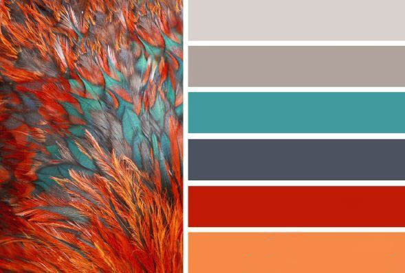 東莞彩卡印刷 東莞彩卡印刷